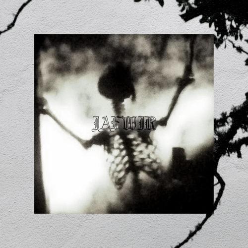 i apologize for what i recovered (Explicit)