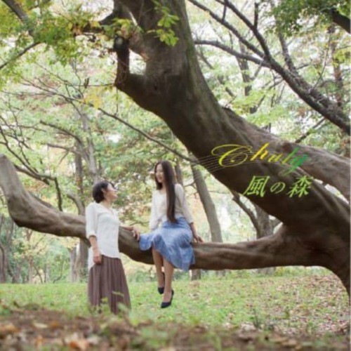 風の森