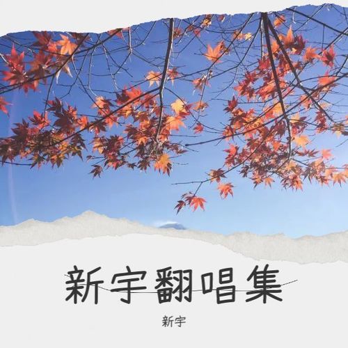 没你无所谓