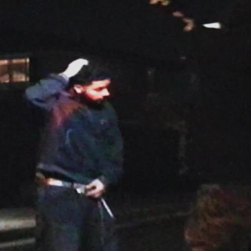 the crowd (Explicit)