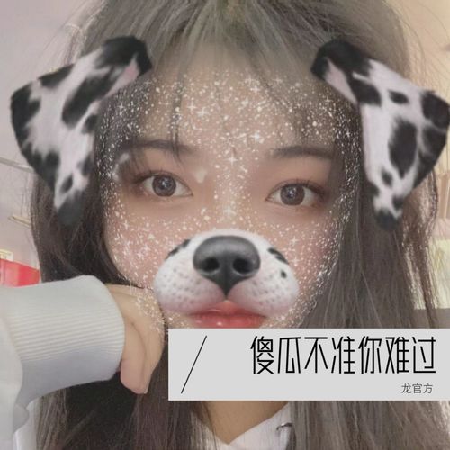 傻瓜不准你难过