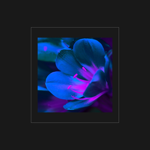 In the Dark