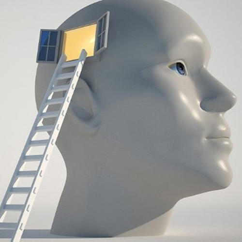 A Window, to the Window, of the Mind