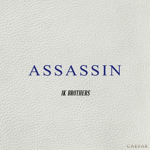 ASSASSIN (刺客)