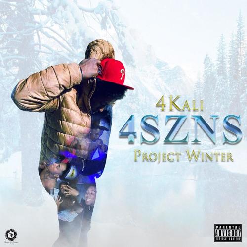 4SZNS: Project Winter (Explicit)