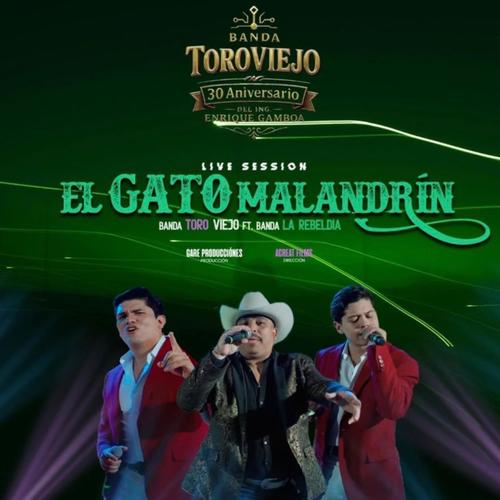 El Gato Malandrín (feat. La Rebeldía De la Torre)