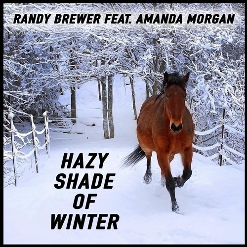 Hazy Shade of Winter (feat. Amanda Morgan)