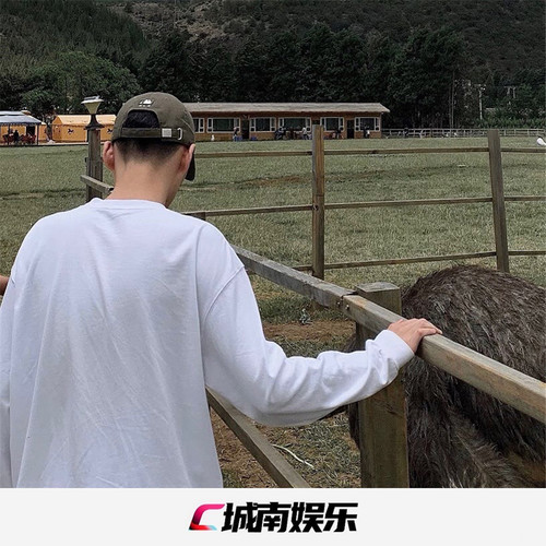 千本樱