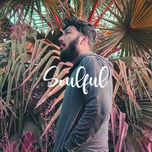 Soulful (Explicit)