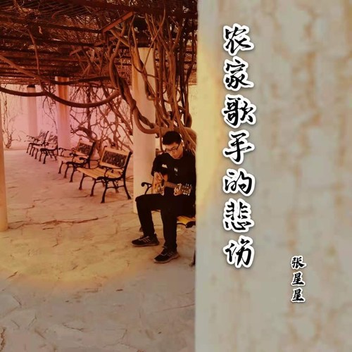 农家歌手的悲伤