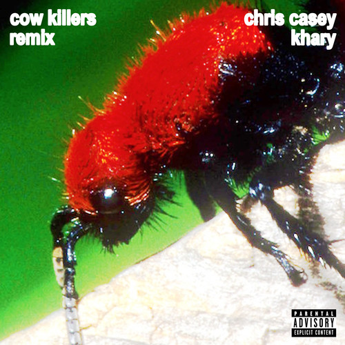 Cow Killers (REMIX) [Explicit]