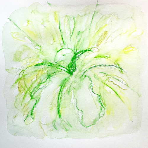 Things That Never Became Words