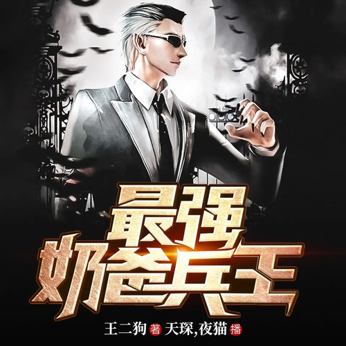最强奶爸兵王