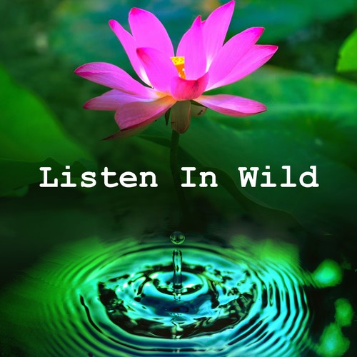Listen In Wild