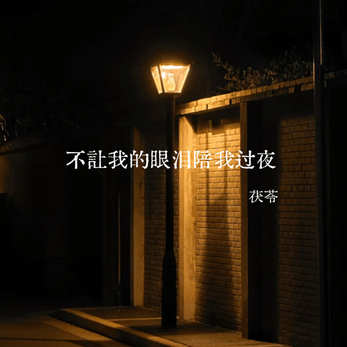 不让我的眼泪陪我过夜