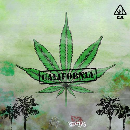 CALIFORNIA (Explicit)