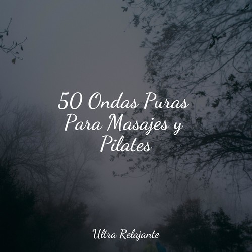 50 Ondas Puras Para Masajes y Pilates