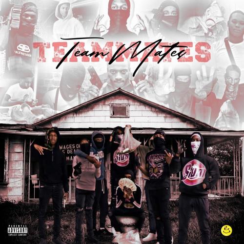 TEAMMATES (Explicit)
