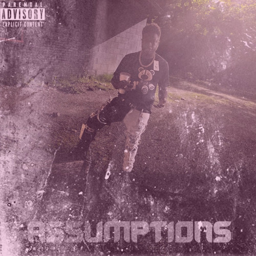 Assumptions (Explicit)