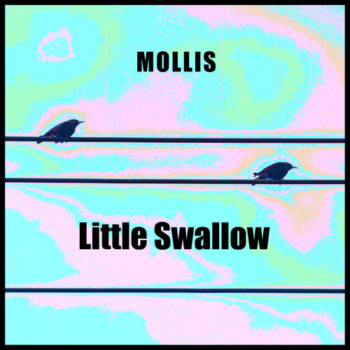 Little Swallow