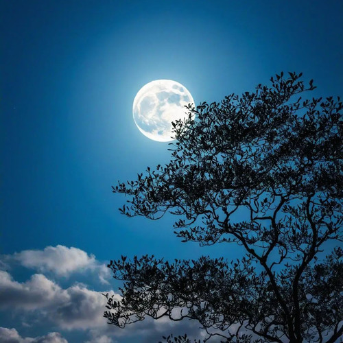 催眠曲5分钟入睡 治愈重度失眠 灵魂放松轻音乐 放松心情舒缓压力 疗愈音律 轻音乐舒缓放松纯音乐