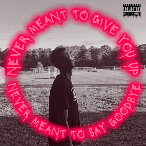 NEVER MEANT TO GIVE YOU UP (Explicit)