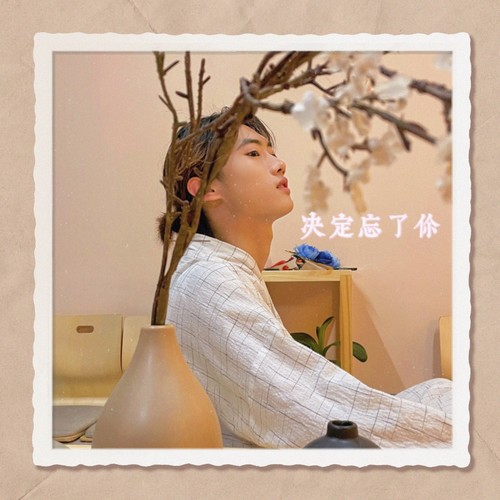 决定忘了你