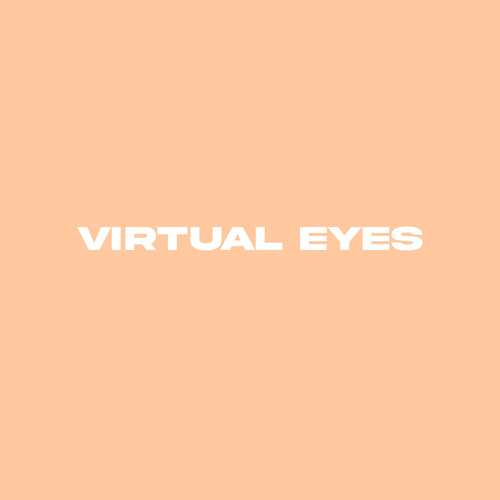 Virtual Eyes