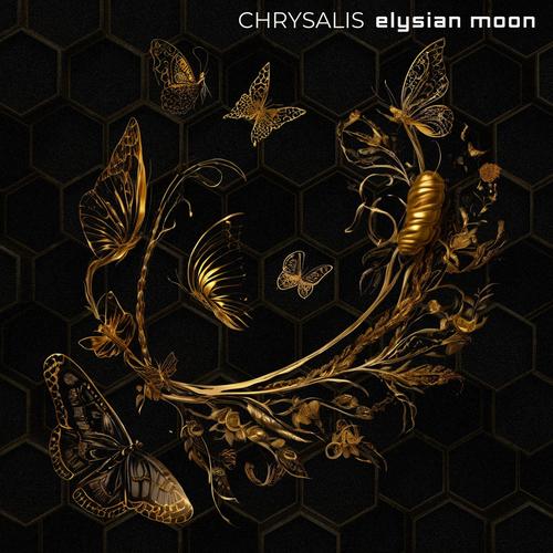 Chrysalis (feat. Clara Nova)