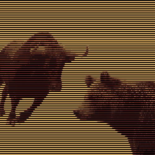 bear/BULL (Explicit)