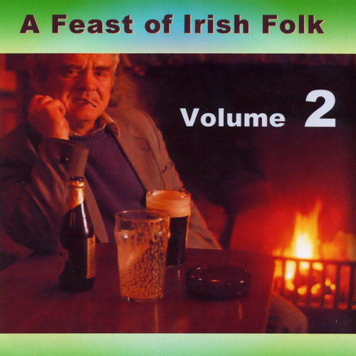 A Feast Of Irish Folk - Volume 2