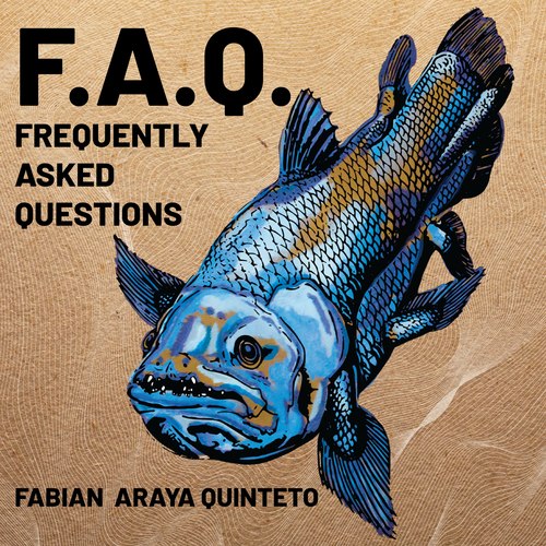 Frequently Asked Questions