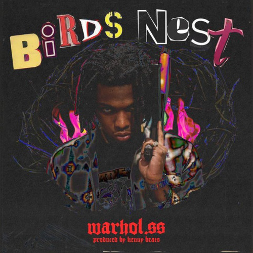 Birds Nest