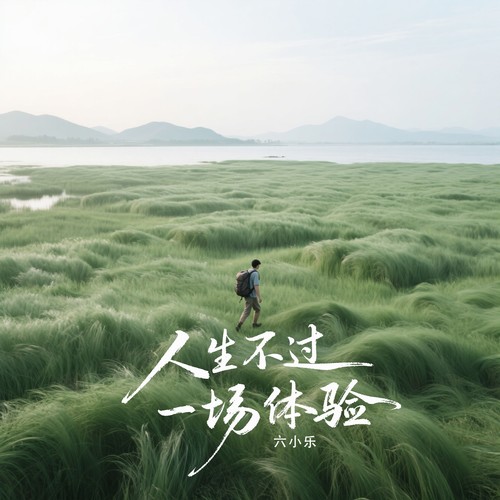 人生不过一场体验