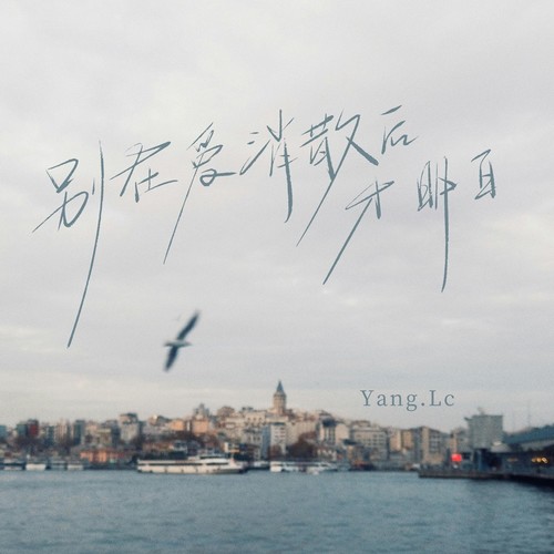 别在爱消散后才明白(DJ九零版)