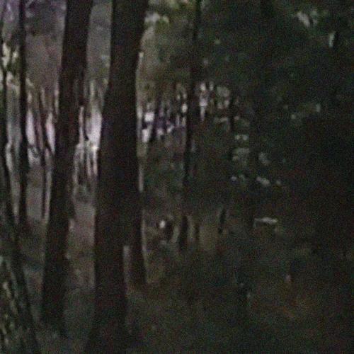 debonaire (Explicit)