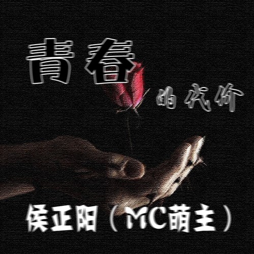 青春的代价