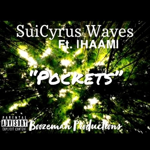 Pockets (feat. |HAAM| & SuiCyrus Waves) [Explicit]