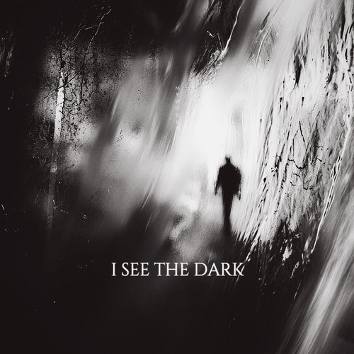I SEE THE DARK