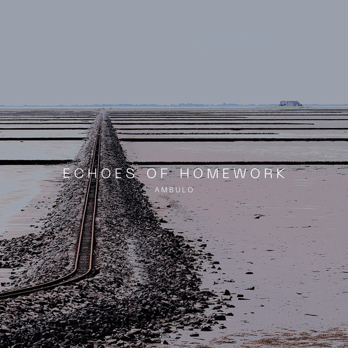 Echoes of Homework