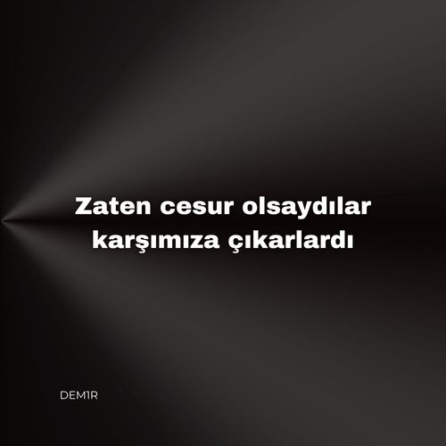 Zaten cesur olsaydılar karşımıza çıkarlardı