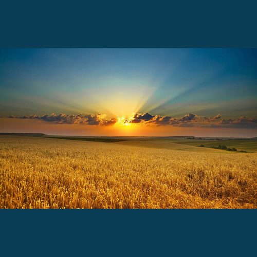 关于青春的记忆