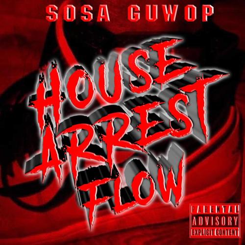 House Arrest Flow (Explicit)