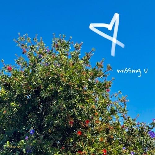 missing u (Explicit)