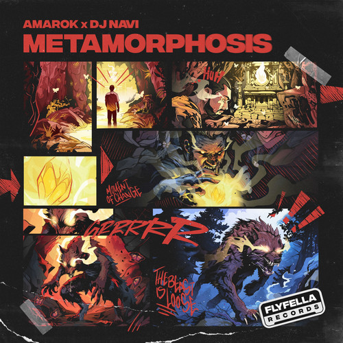 METAMORPHOSIS (Explicit)