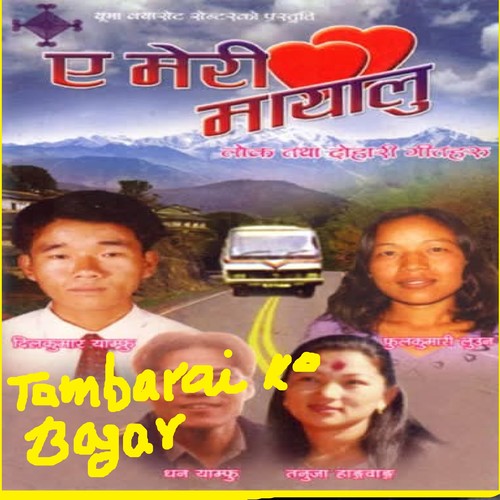 Tambarai ko bagar