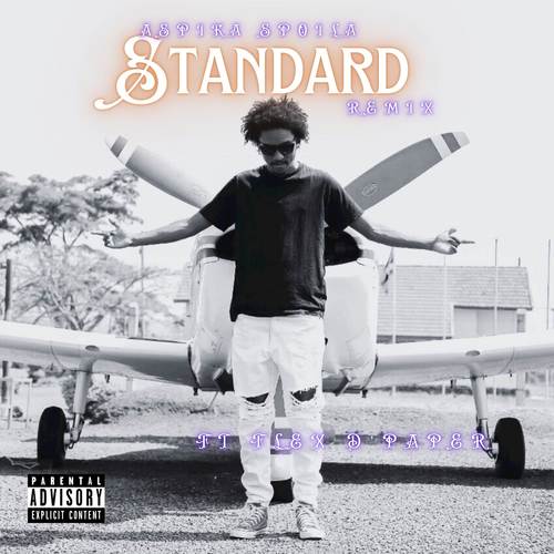 Standard Remix (Explicit)