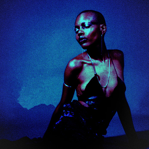 CONSERVATIVE INC. (Explicit)