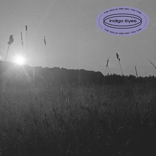 The Walls Are Way Too Thin