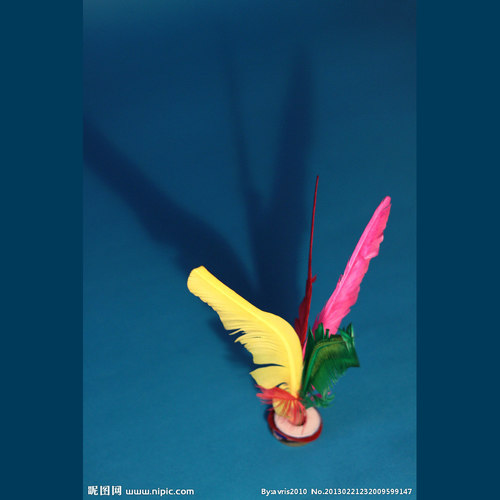 毽羽飞天 天津滨海新区塘沽毽球协会主题曲